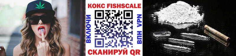 купить закладку  ссылка на мегу как зайти  Cocaine Fish Scale  Жуковка 