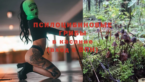 бутират Алзамай