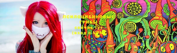 амф Алексеевка