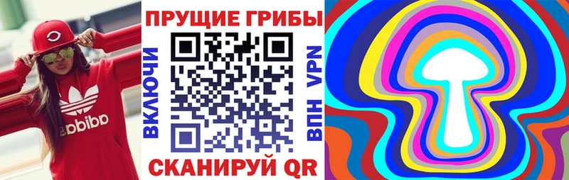 Галлюциногенные грибы Psilocybine cubensis  Жуковка 